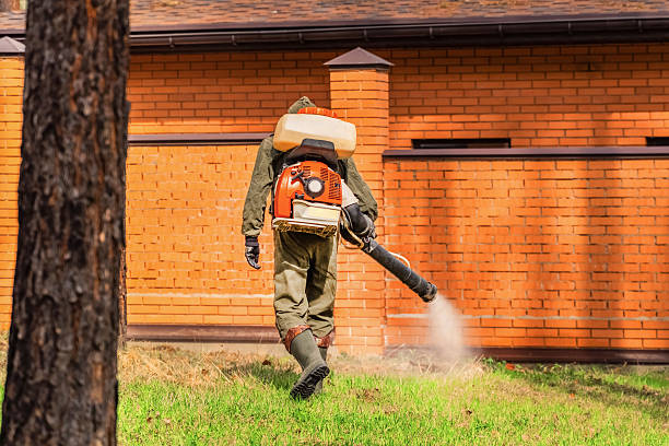 Trusted Bed Bug Control service in River Hills, WI - Nex Pest Control